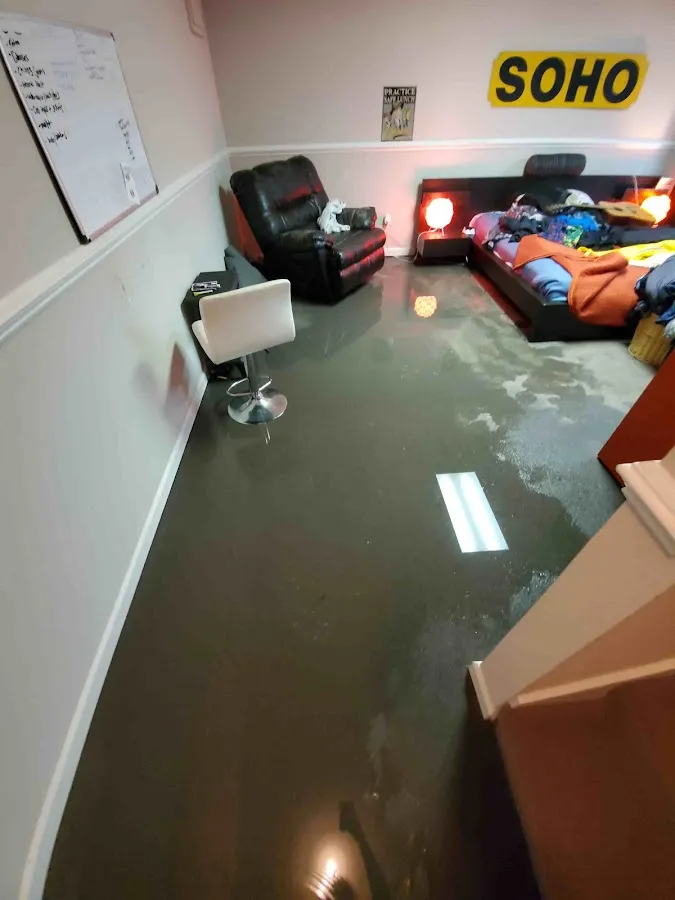 Water Damage Restoration services in Minnetrista, MN