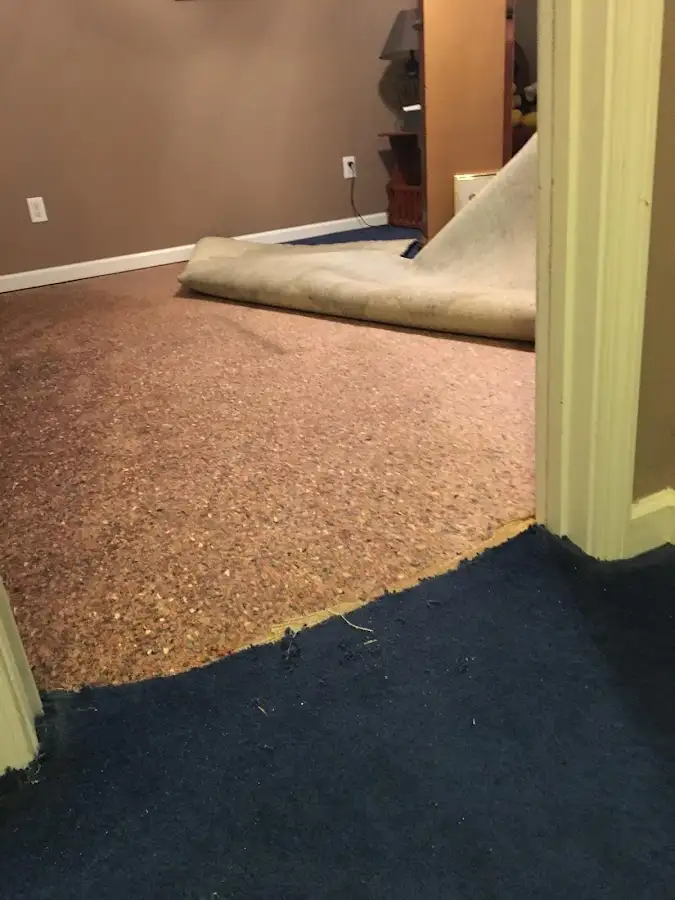 Carpet pad removal revealing water damage during Drying & Dehumidification in Minnetrista