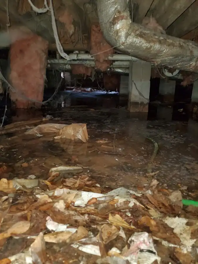 Crawl space flood assessment for Leak Detection & Repair in Minnetrista