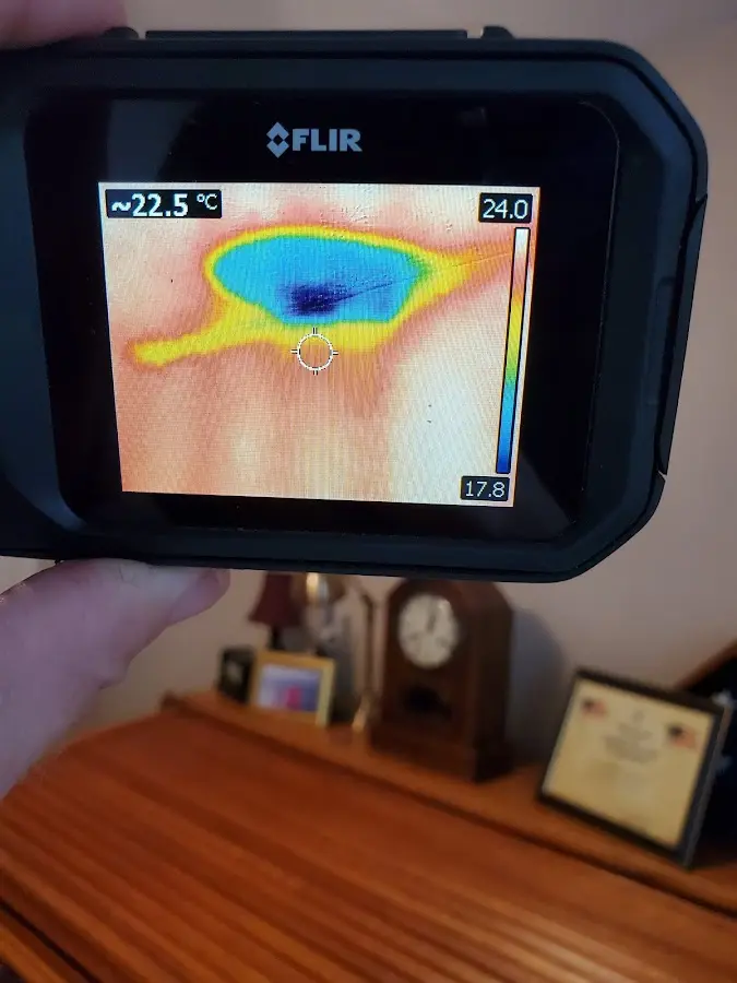 Thermal imaging inspection for water damage in Minnetrista
